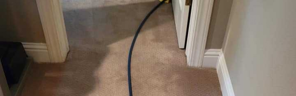 Carpet Cleaning Sydney Cover Image