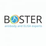 bosterbio Profile Picture