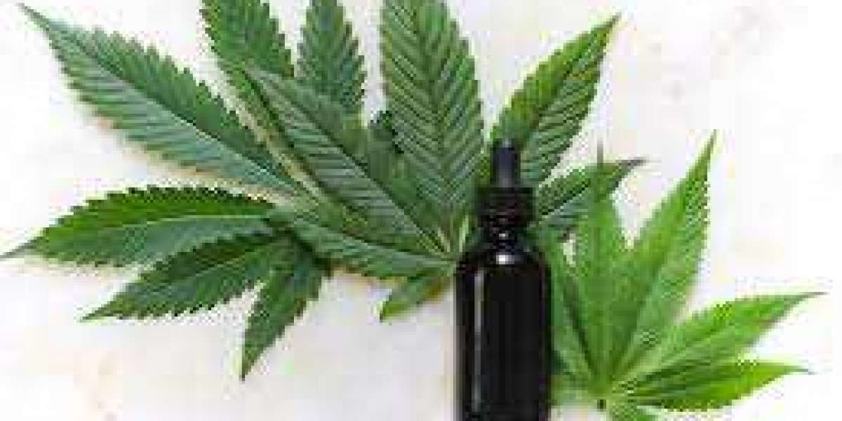 The Only Guide for 14 Best Cbd Oils To Boost Your Mood