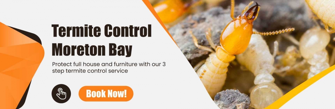 Termite Control Service Moreton Bay Cover Image