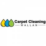 Carpet Cleaning Wallan Profile Picture