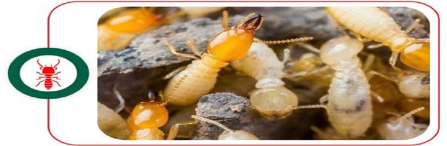 Pest Control Cottesloe Cover Image