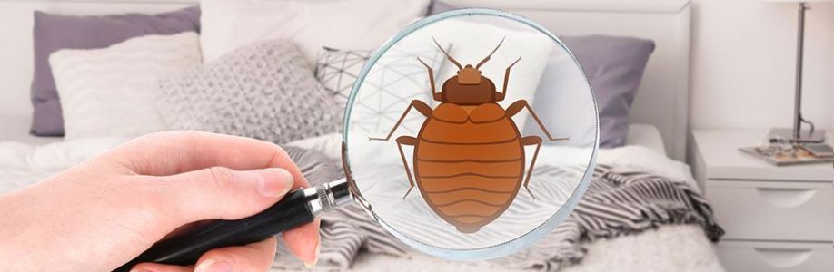 Bed Bugs Control Perth Cover Image