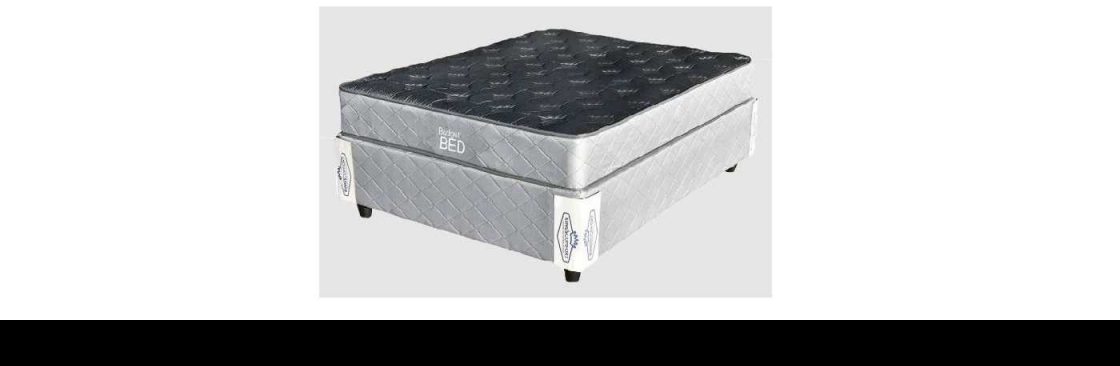 Mr Mattress Cover Image