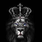 satta kinngz Profile Picture