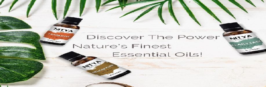itvest solutions llc Cover Image