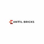 Anttil Bricks Profile Picture