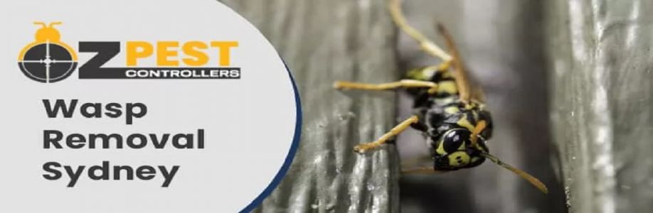 OZ Wasp Removal Sydney Cover Image