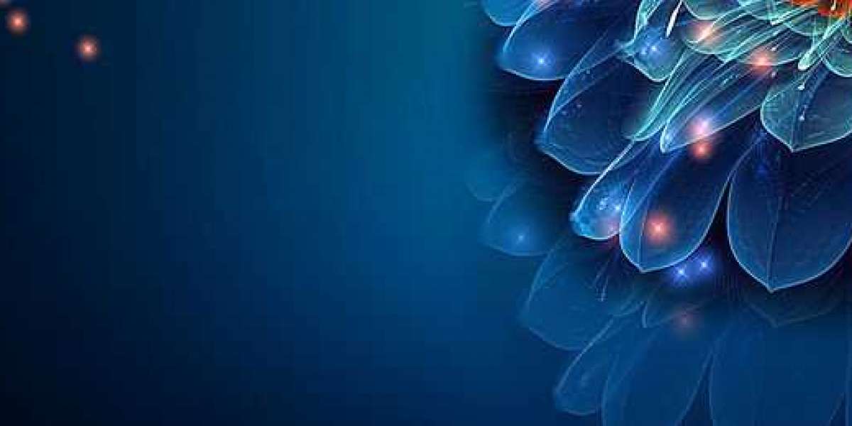 Tahapan-Tahapan Dalam Permainan Slot Online Yang Harus Didapati Bettor Pemula