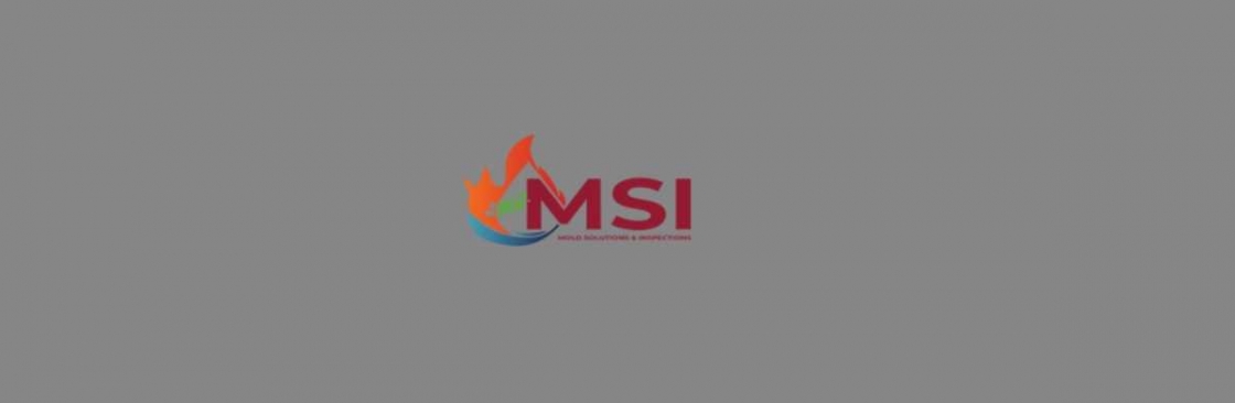 Mold Solutions & Inspections Cover Image