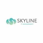 Skyline IT Management Profile Picture