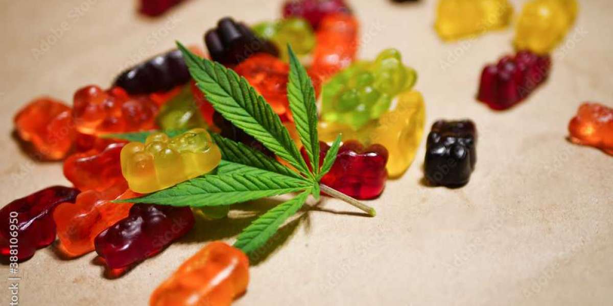 sera relief cbd gummies reviews scam or legit