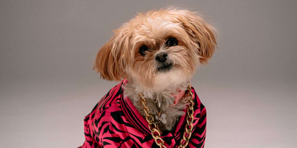ESA Dogs: Things You Must Know About Them