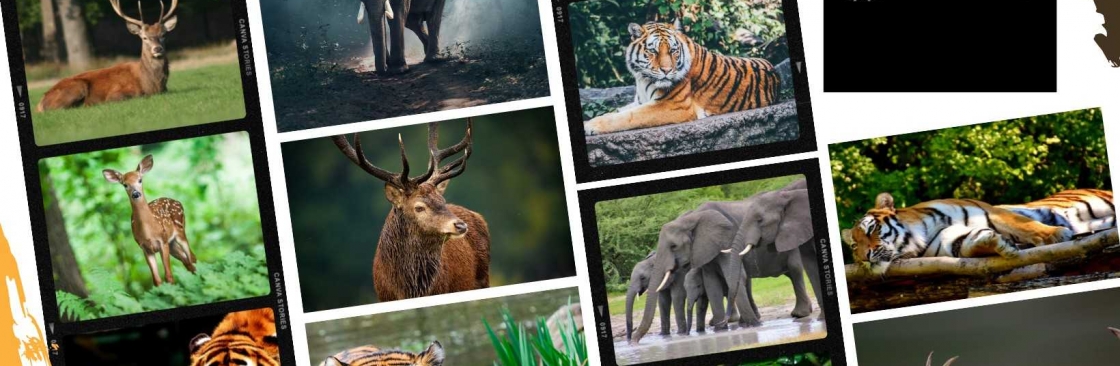 Jim Corbett Bookings Online Cover Image