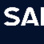 SEO SAINTS team Profile Picture